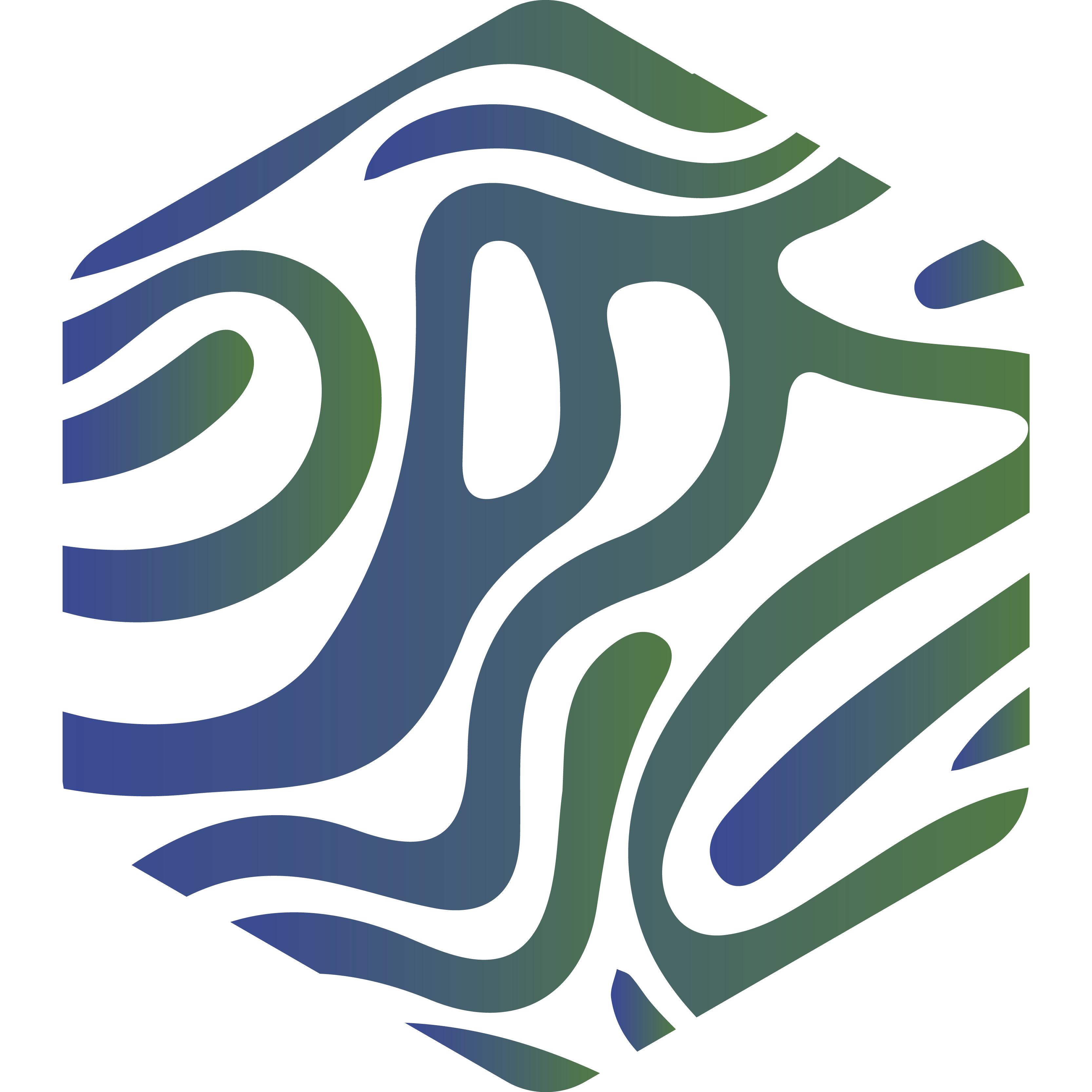 Icon Rheology